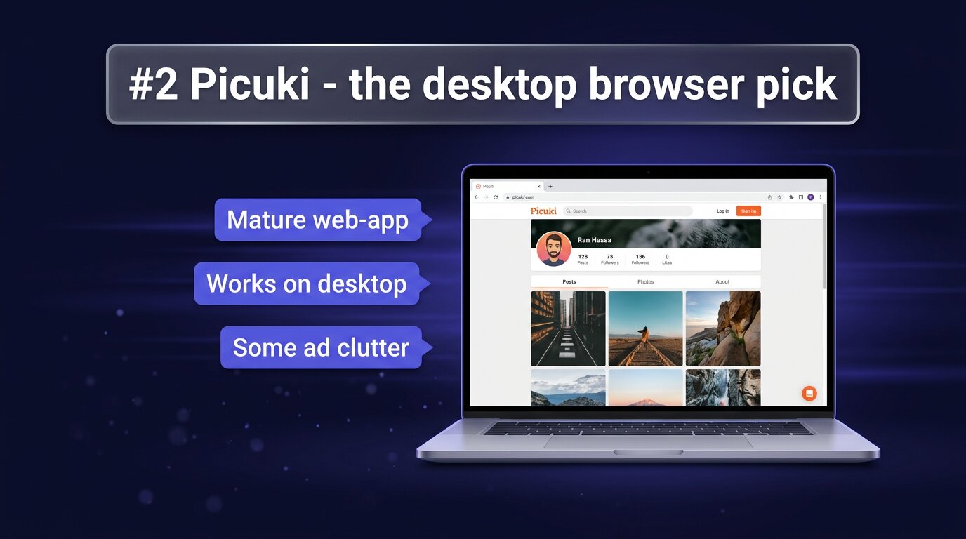 Picuki website on a desktop browser